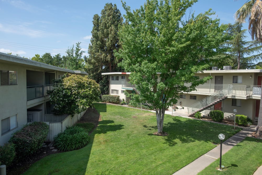 Great Landscaping at Country Club Gardens in Sacramento, California
