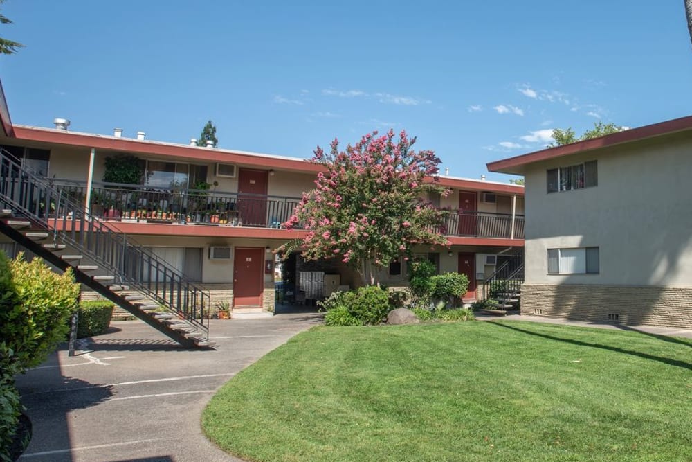 Grassy area and landscaping in courtyard at Corabel Lane Apartments in Sacramento, California