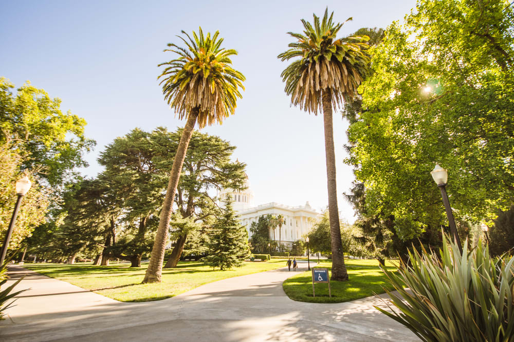 Lush property of Ray Stone Apartments