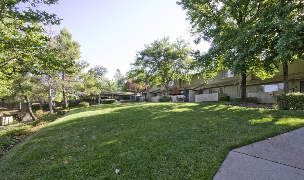 Grassy lawns at Auburn Townhomes in Auburn, California