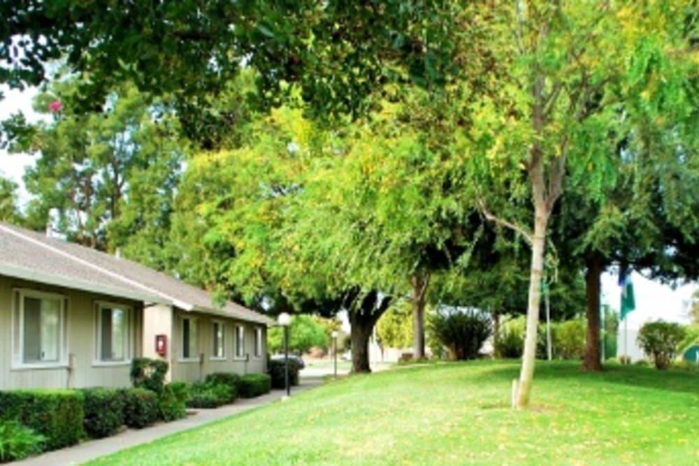 Grassy area in apartment community of Ray Stone Apartments
