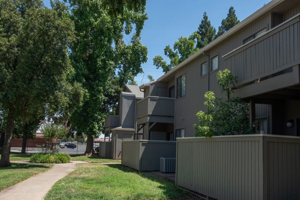 Trees, and grass area next to apartments at Zinfandel Ranch Apartments in Rancho Cordova, California