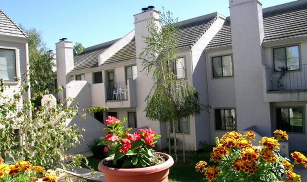 Apartment patios and balconies at River's Edge Apartments in Lodi, California