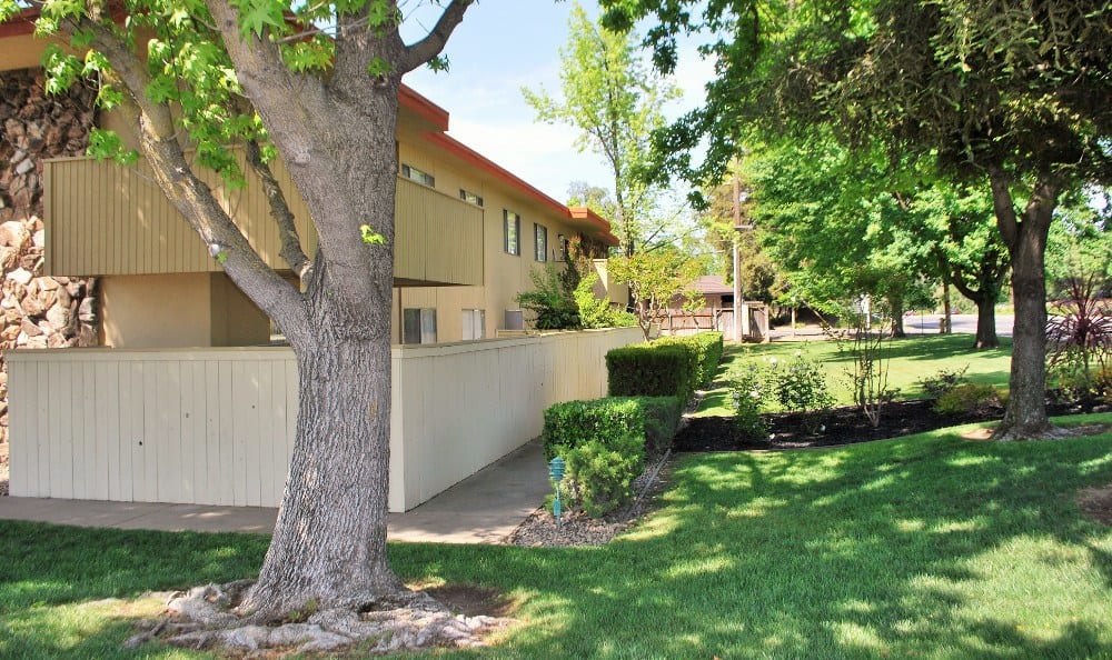 Grassy lawns at Arden Palms Apartments in Sacramento, California