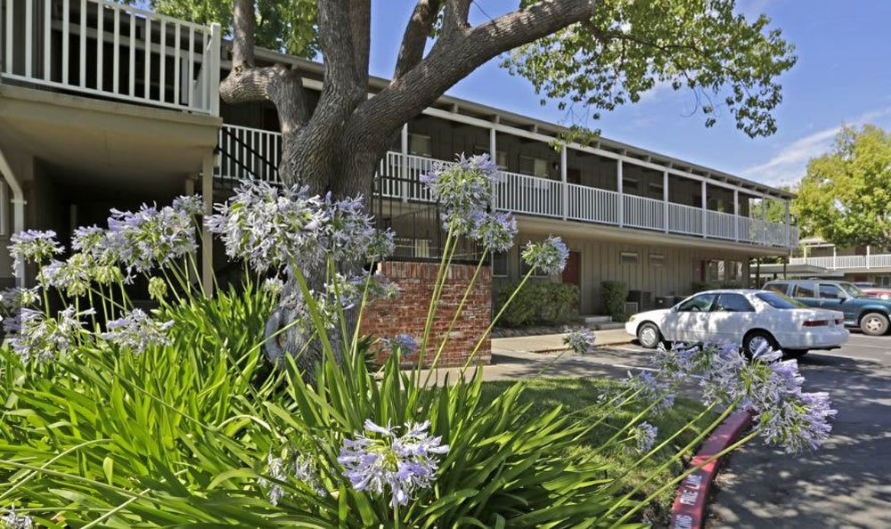 Parking for residents at Castle Hill Apartments in Sacramento, California