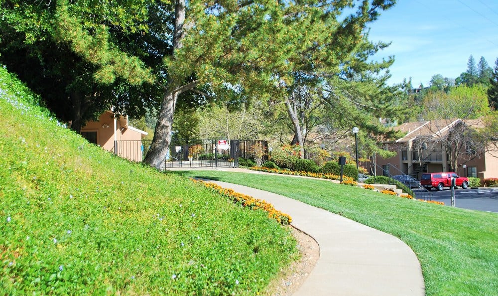 Sidewalk at Foothill Terrace in Auburn, California
