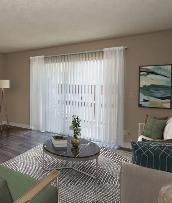 Living room at San Juan Hills in Fair Oaks, California
