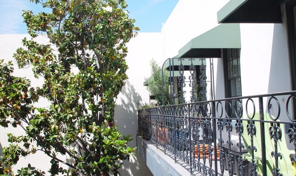Sunny day and well-lit apartments at Clarendon House in Sacramento, California